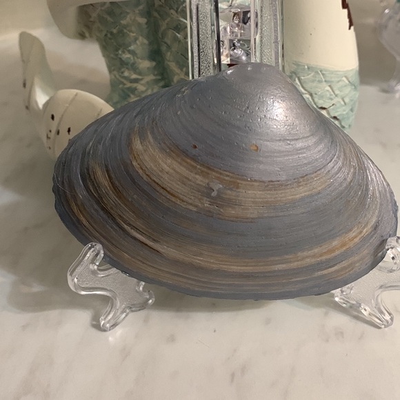 Shabby Chic Boho Shell Decor - Handmade Soy Wax Candle in a Seashell - Picture 3 of 5